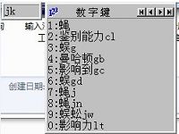 极品五笔输入法WinPE专区专业书写工具