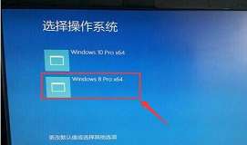 戴尔14vr用u盘装系统win10下装win8教程