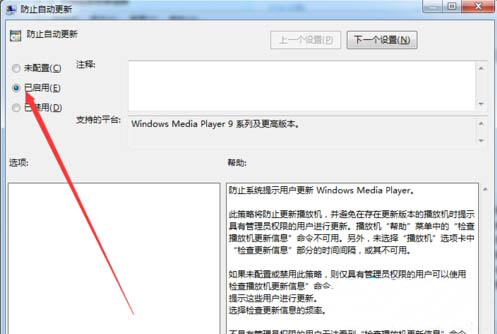 windows media player