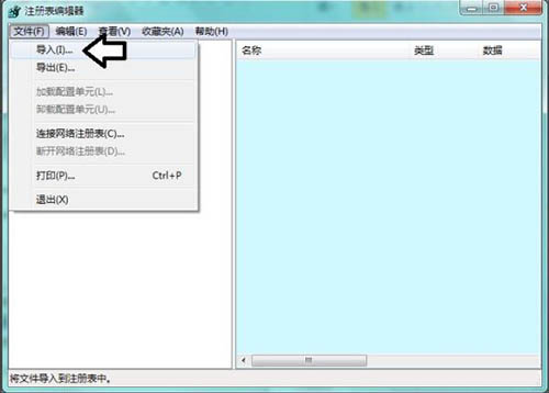 software protection服务