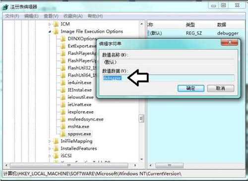 software protection服务