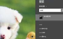 win8系统怎么进入dos界面 win8系统进入dos界面方法介绍