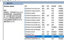 win10系统如何关闭自动更新 win10系统关闭自动更新操作教程